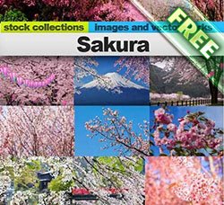 高清图片：Sakura 25xUHQ
